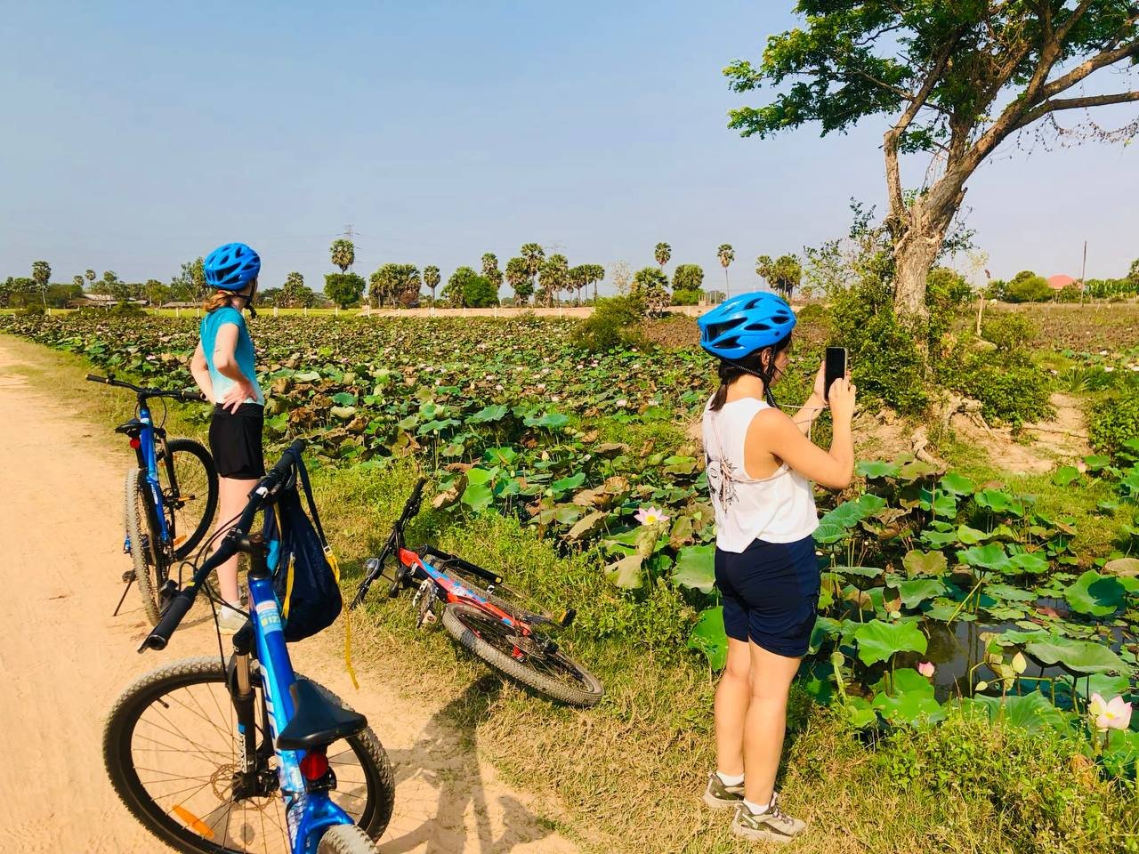 Cambodia Experience Cycling Tours 12 Days